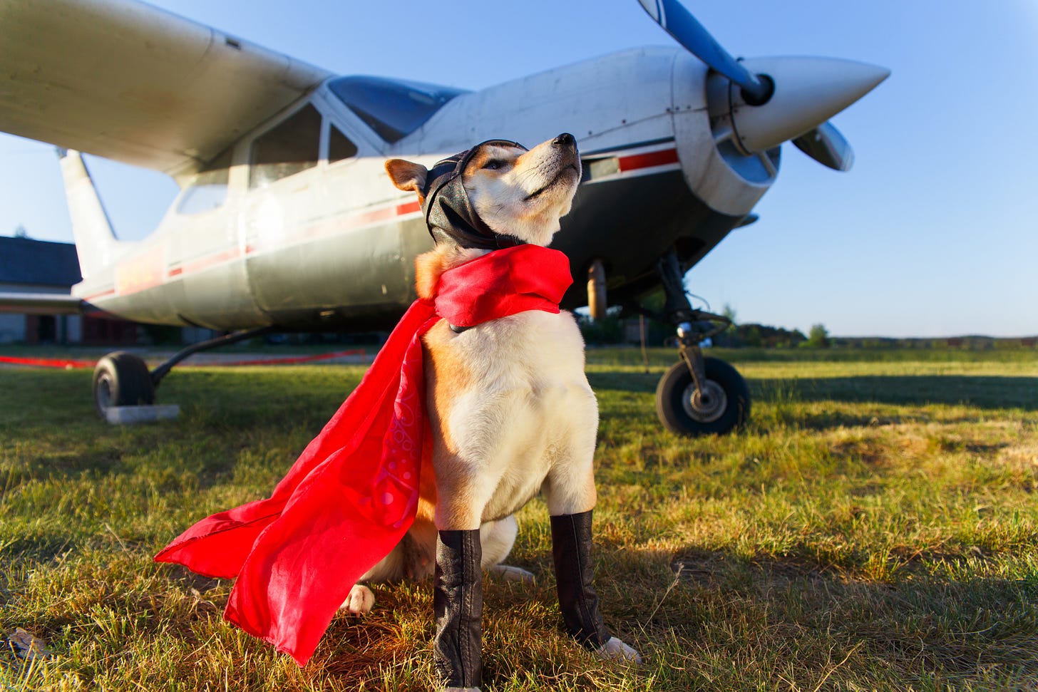 a dog wearing a cape and helmit posees with an airplane