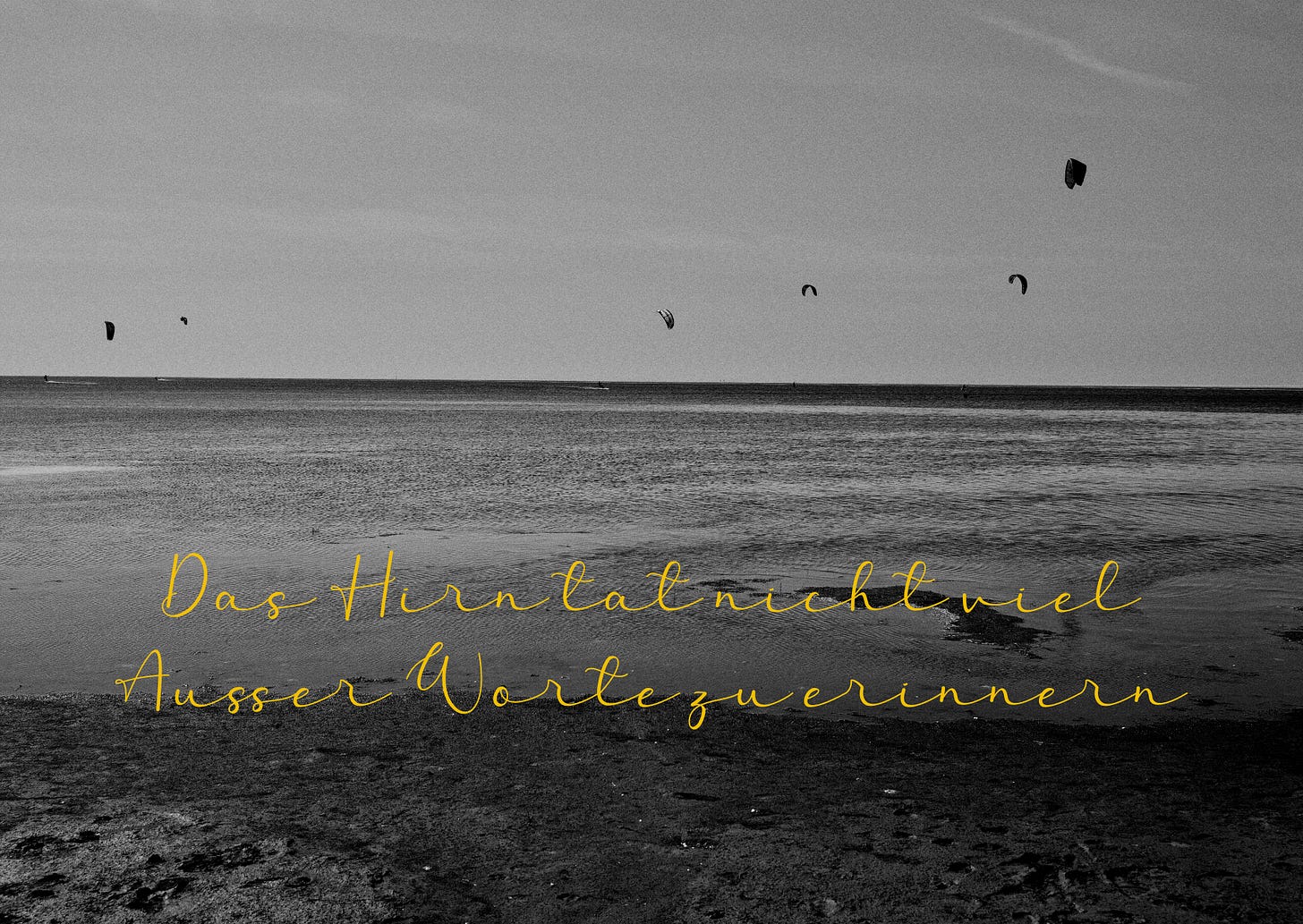 Das Hirn tut nicht viel ausser Worte zu erinnern