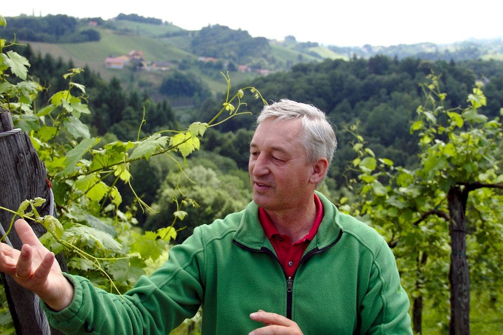 Sepp Muster in his Opok Vineyard, June 2015