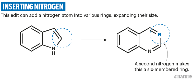 Inserting nitrogen: A chemical scheme that shows how a nitrogen atom can be added into various rings, expanding their size.