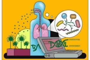 When Aspergillus fumigatus spreads its spores into the air, they can be inhaled and colonize the human lung. Bioinformatics tools can analyze the genetic information of the fungus and thus help to understand how the fungus shapes the lung microbiome to its own advantage.