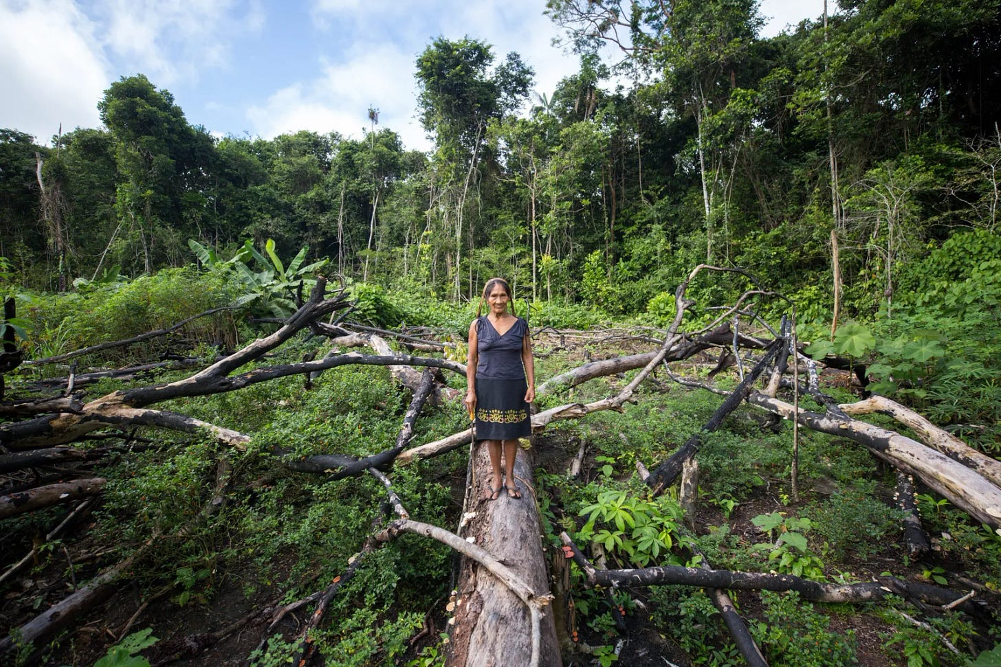 Na Amazônia, práticas agrícolas indígenas interligam cosmologia e  conservação | National Geographic