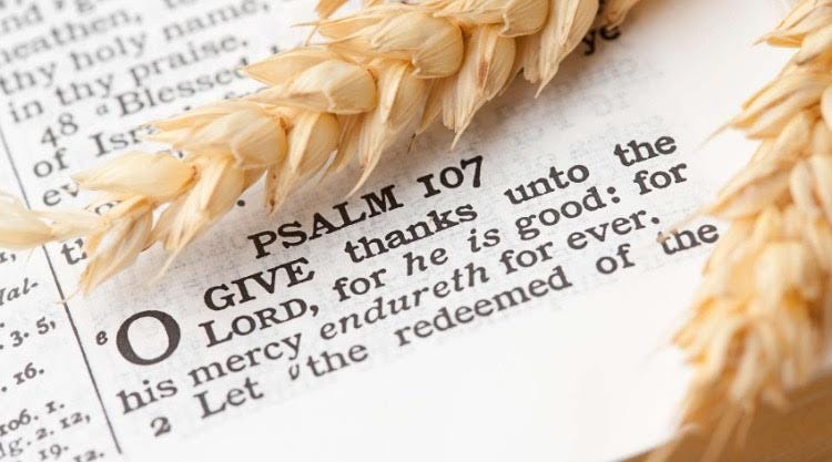Top 20 Bible Verses for Thanksgiving