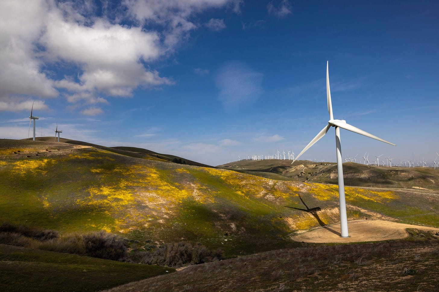 Wildflowers spread over hills as wind turbines create electricity on April 16, 2023 near Cameron, California. Spectacular wildflower blooms, referred to by some as a "superbloom", is occurring across much of California following a historically wet season that drove 31 atmospheric river storms thorough the region, resulting in widespread flooding and record snow depths in the Sierra Nevada Mountains.