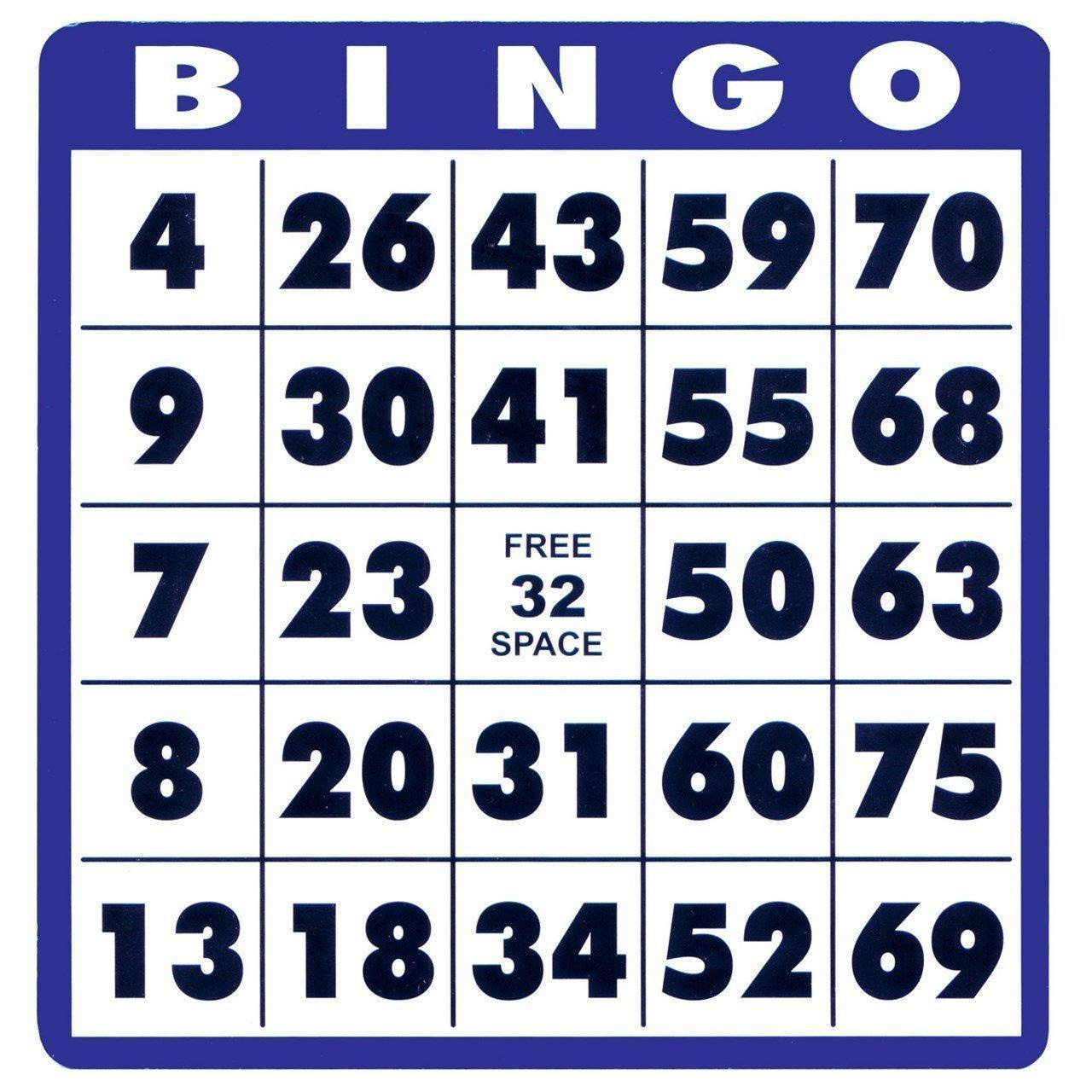 Low Vision Bingo Cards Set of 10