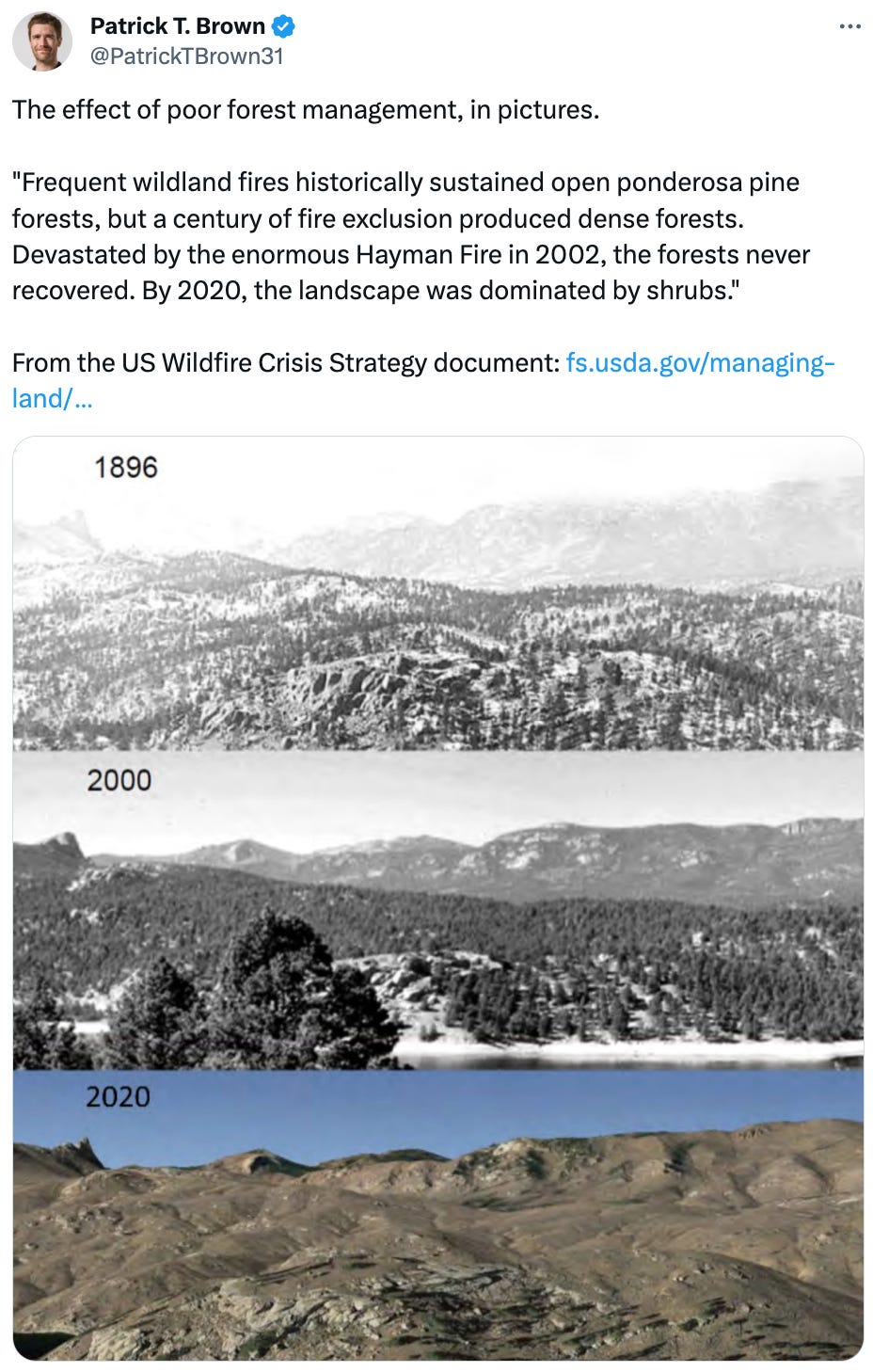  See new posts Conversation Patrick T. Brown @PatrickTBrown31 The effect of poor forest management, in pictures.   "Frequent wildland fires historically sustained open ponderosa pine forests, but a century of fire exclusion produced dense forests. Devastated by the enormous Hayman Fire in 2002, the forests never recovered. By 2020, the landscape was dominated by shrubs."  From the US Wildfire Crisis Strategy document: https://fs.usda.gov/managing-land/wildfire-crisis