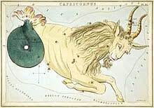 Capricornus - Wikipedia
