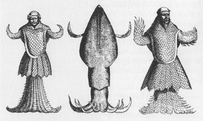 Black and white diagram of an alleged Sea Monk. It is a tentacled creature, with a body and "head" similar to a human, but the arms are short tentacles and the "legs" are a number of tentacles