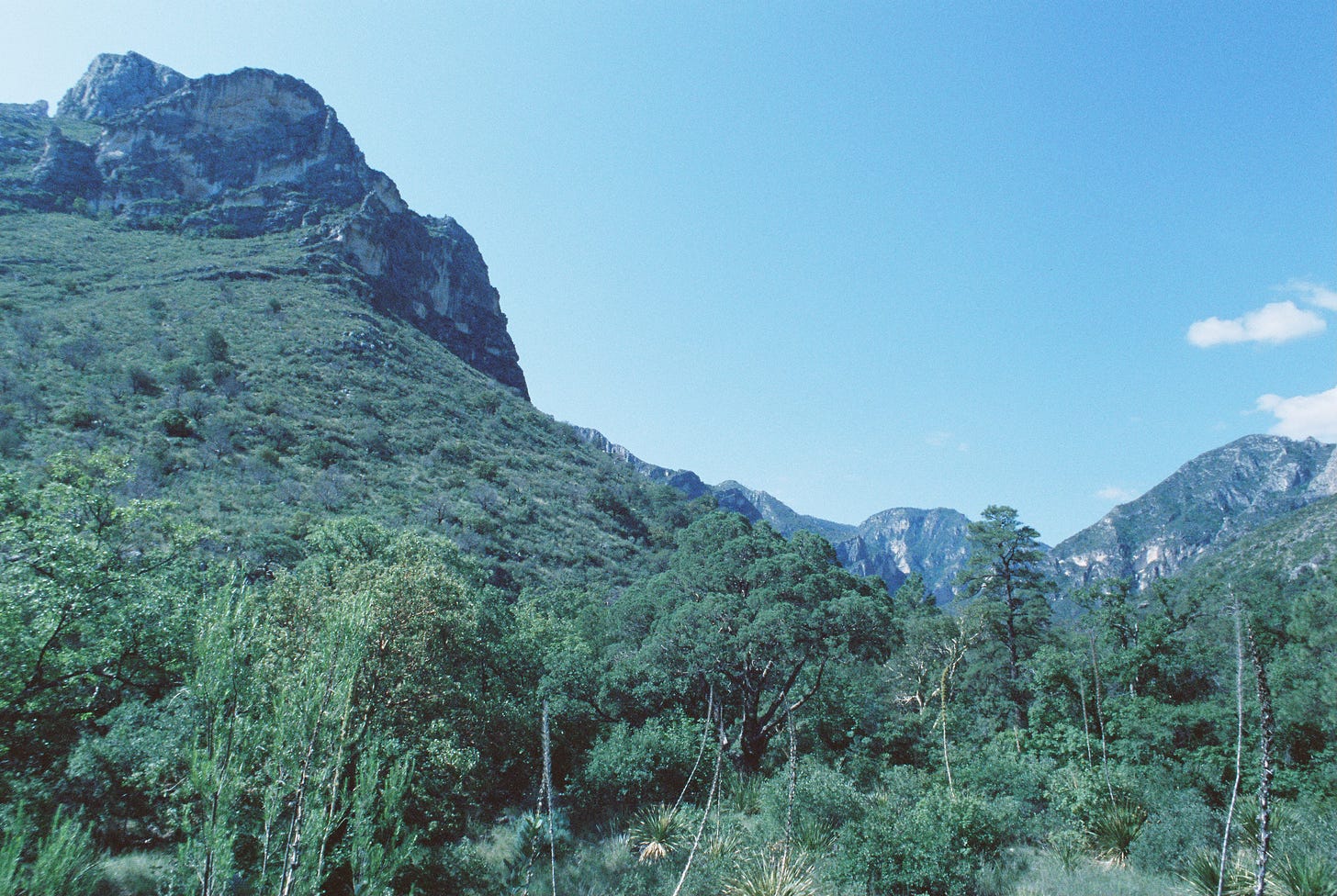 Ridgeline above McKittrick Canyon