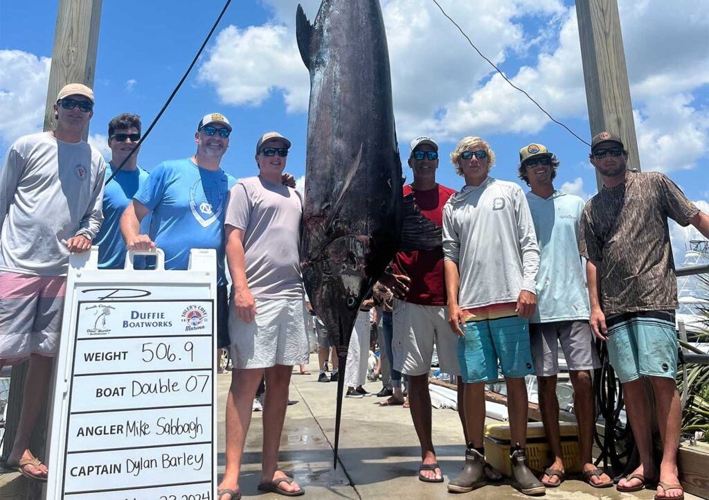 A team of anglers stand next to a large blue marlin being weighed.