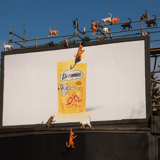 Cats surrounding an OOH poster, crawling towards the bag of Dreamies treats