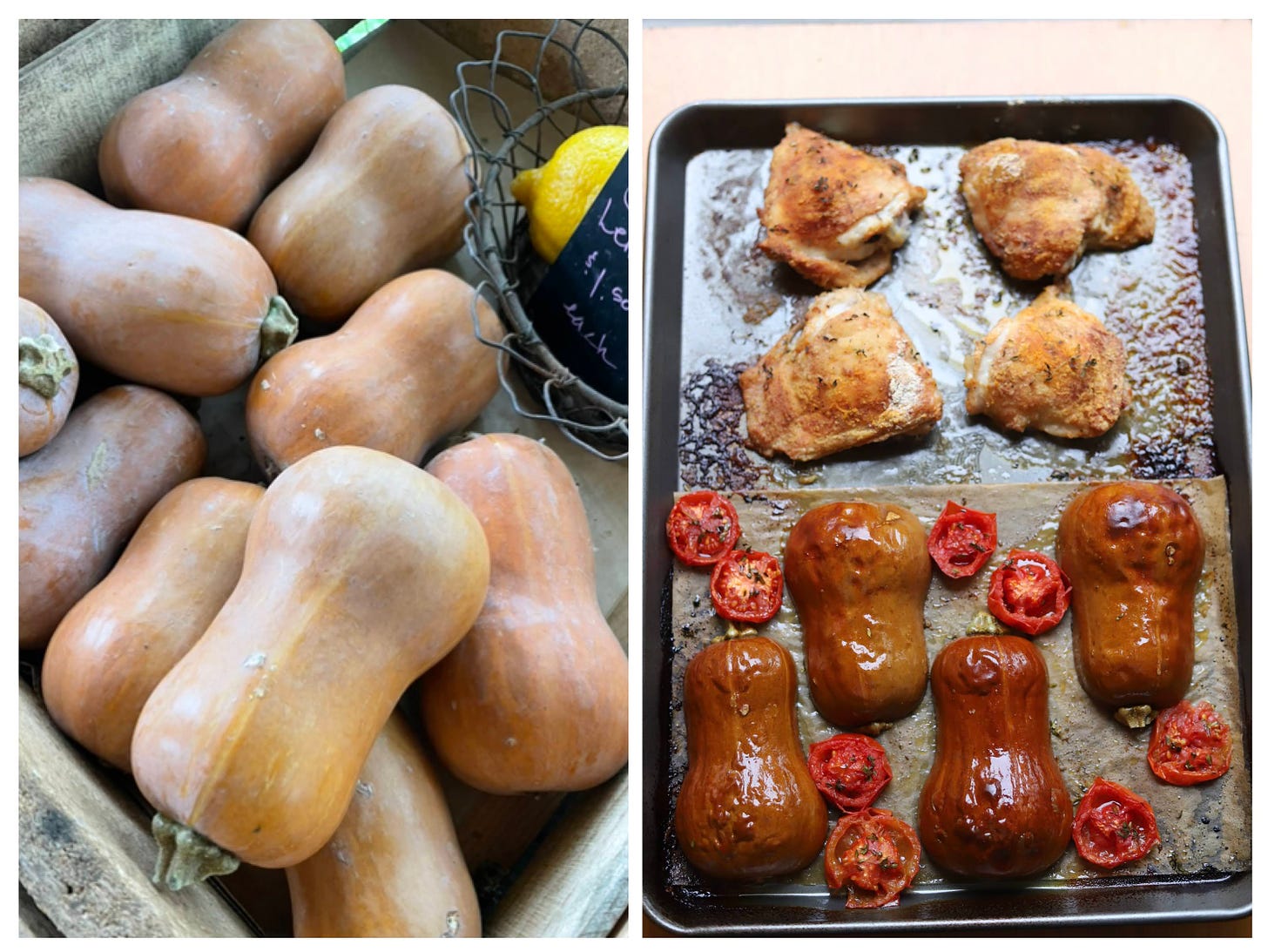 Honeynut squash inspires a new sheet pan dinner, Cook the Vineyard