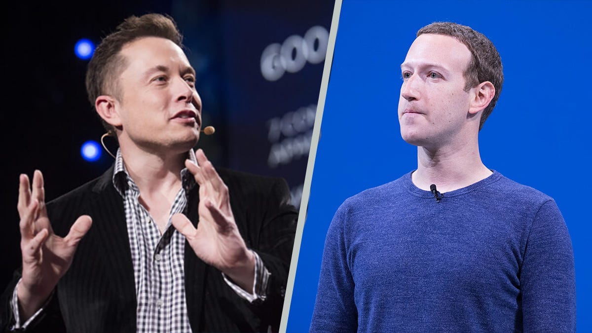 Clash of the Billionaires: Zuckerberg and Musk's Epic Cage Match Teetering  | by Global Ongoing | Medium