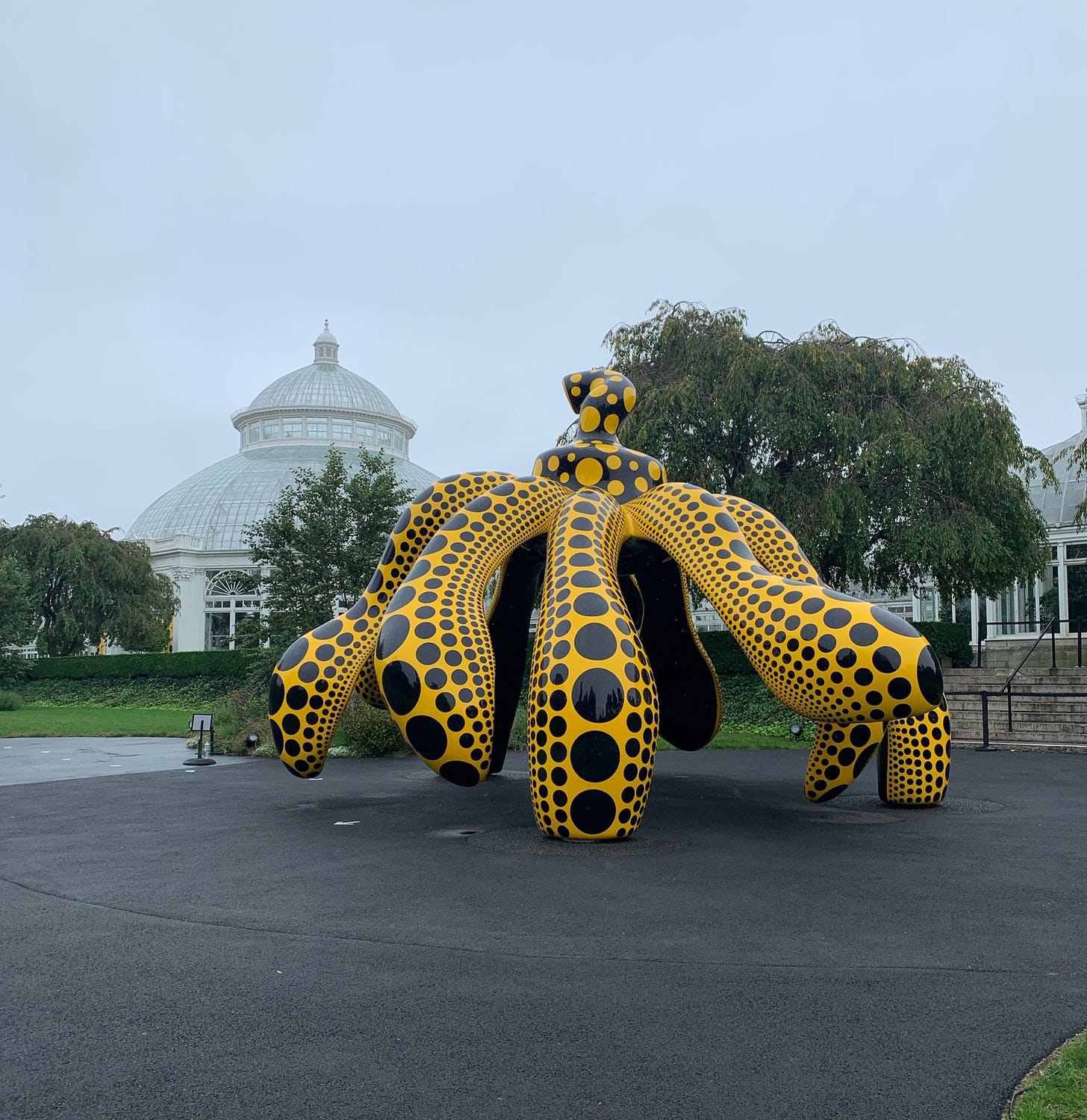 Kusama’s Dancing Pumpkin (2020) photographed by Kait outside the conservatory. The shape of the "pumpkin" mirrors that of the Haupt Conservatory's architecture. Pumpkin is a large sculpture in yellow and black with polka dots. It's as if a pumpkin was unstrung and its sections became legs that were frozen in motion.