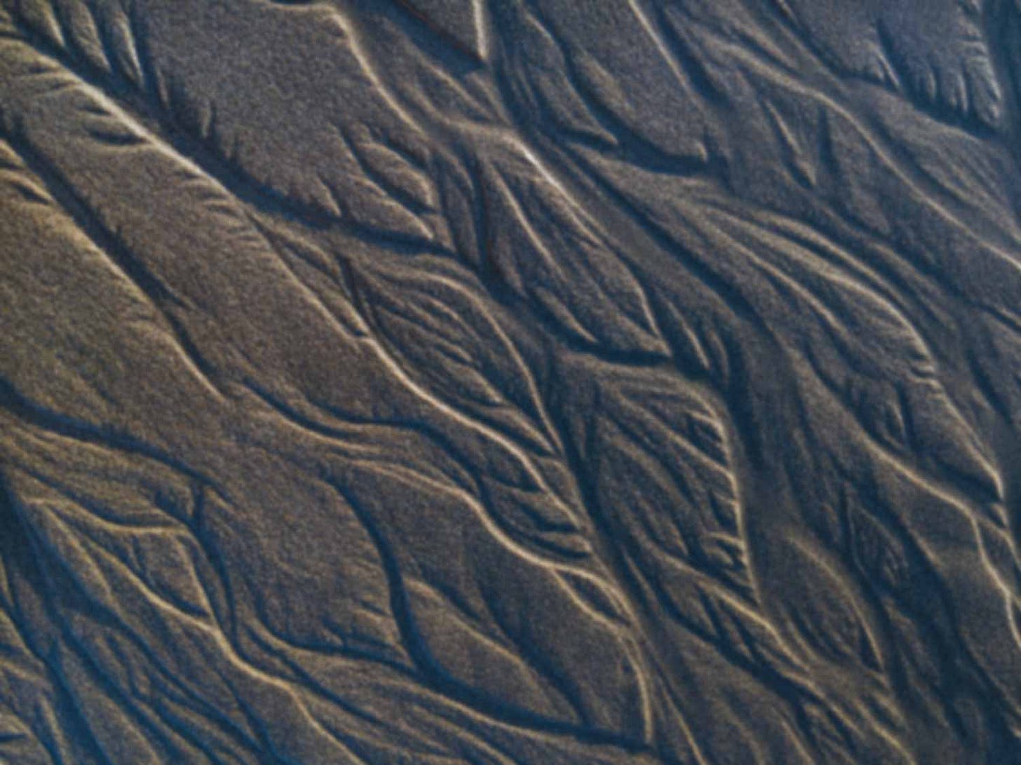 Channels of water draining in sand showing a braided stream network Channels of water draining in sand showing a braided stream network