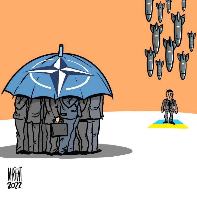 iroon.com: Cartoons: Ukraine and NATO