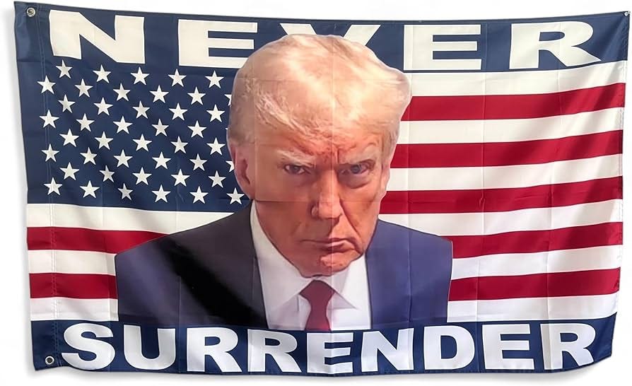 President Donald Trump 2024 Mugshot Never Surrender 3x5 ft Flag, MAGA Never  Surrender Single-Sided Flag for Trump Fans and Republicans To Stop Tyranny