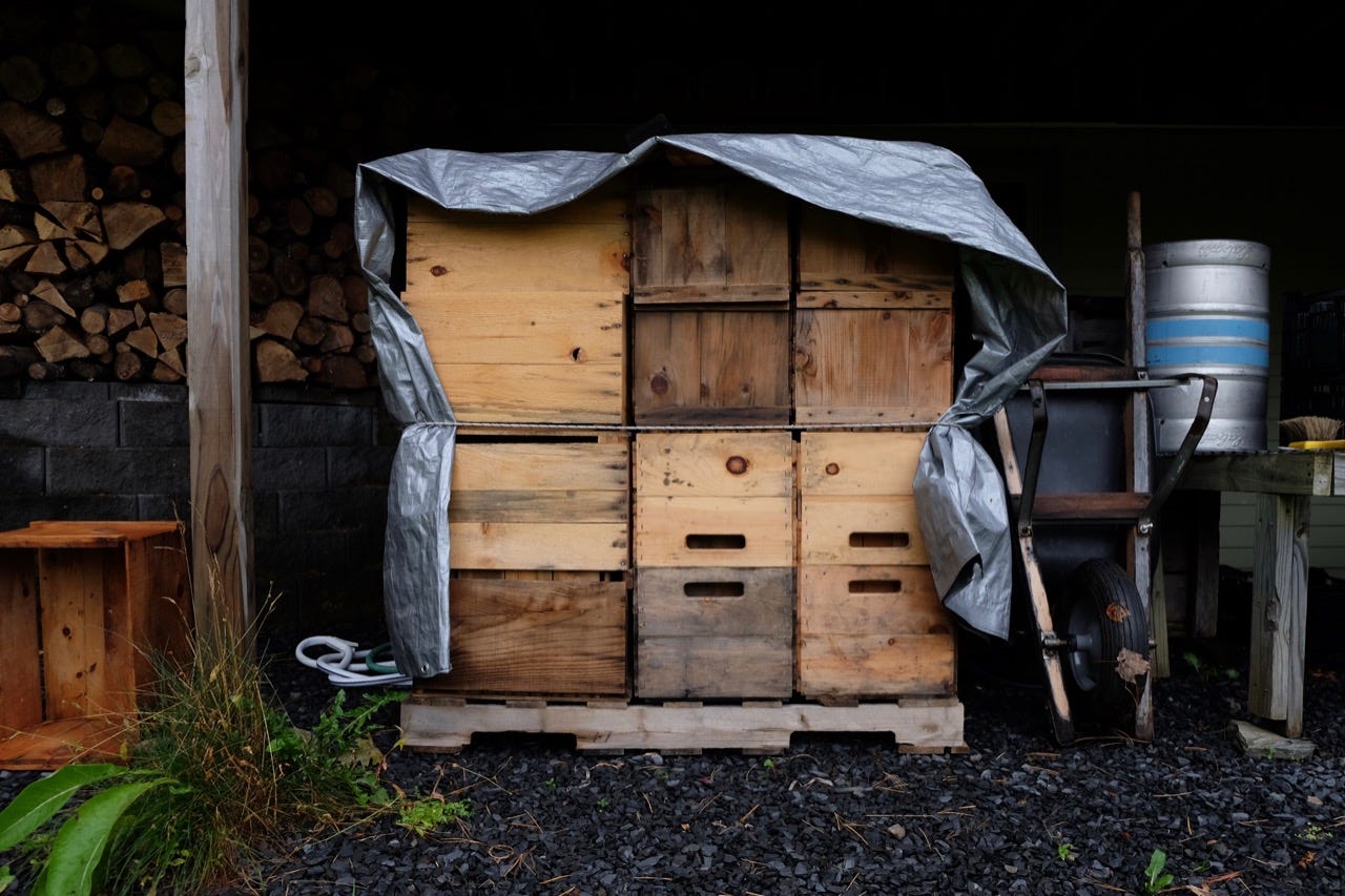 Apple crates in Teddy Weber's home cidery in Roxbury, Vermont