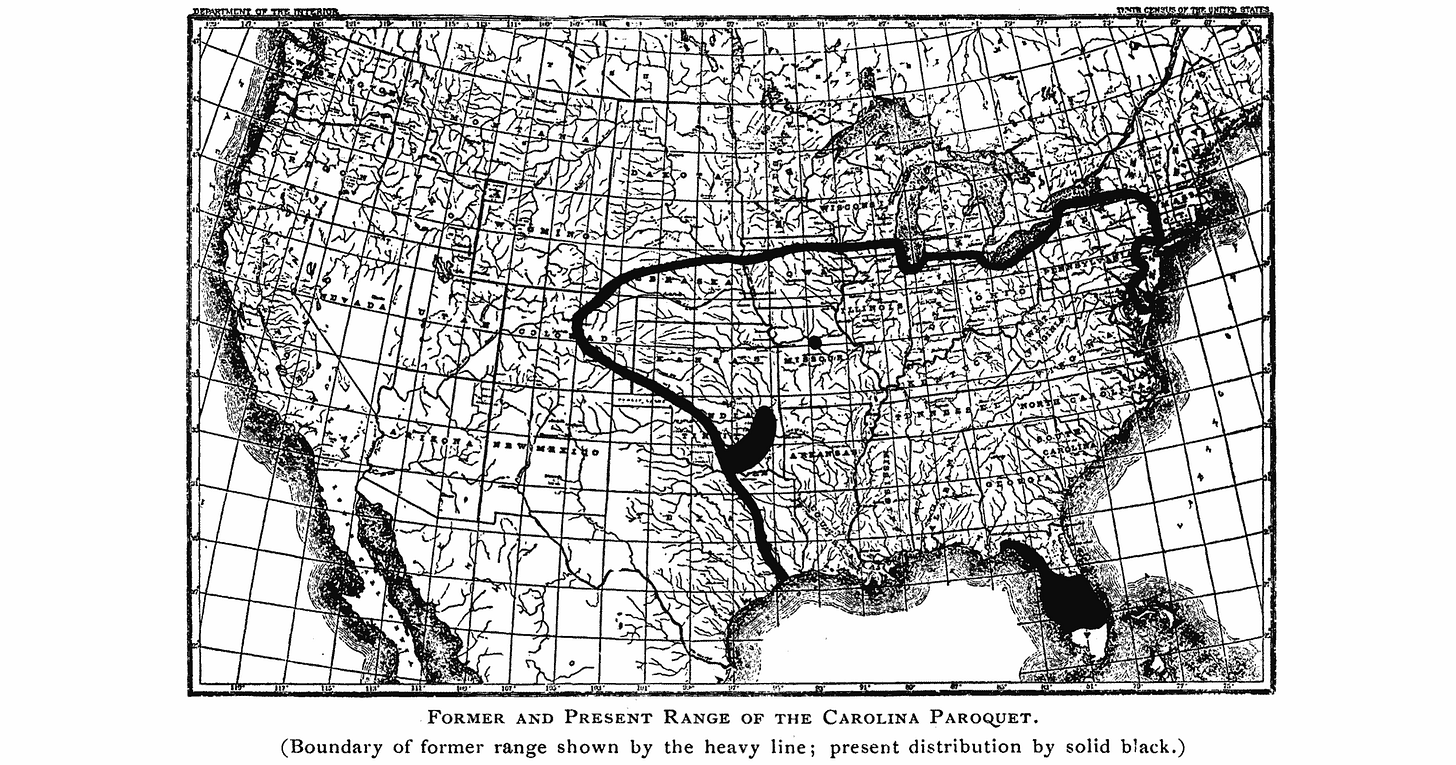 A map of the United States with the parakeet range indicated from the front range of Colorado across to the Hudson Valley, then south to Florida and east again to the Texas Gulf Coast A map of the United States with the parakeet range indicated from the front range of Colorado across to the Hudson Valley, then south to Florida and east again to the Texas Gulf Coast