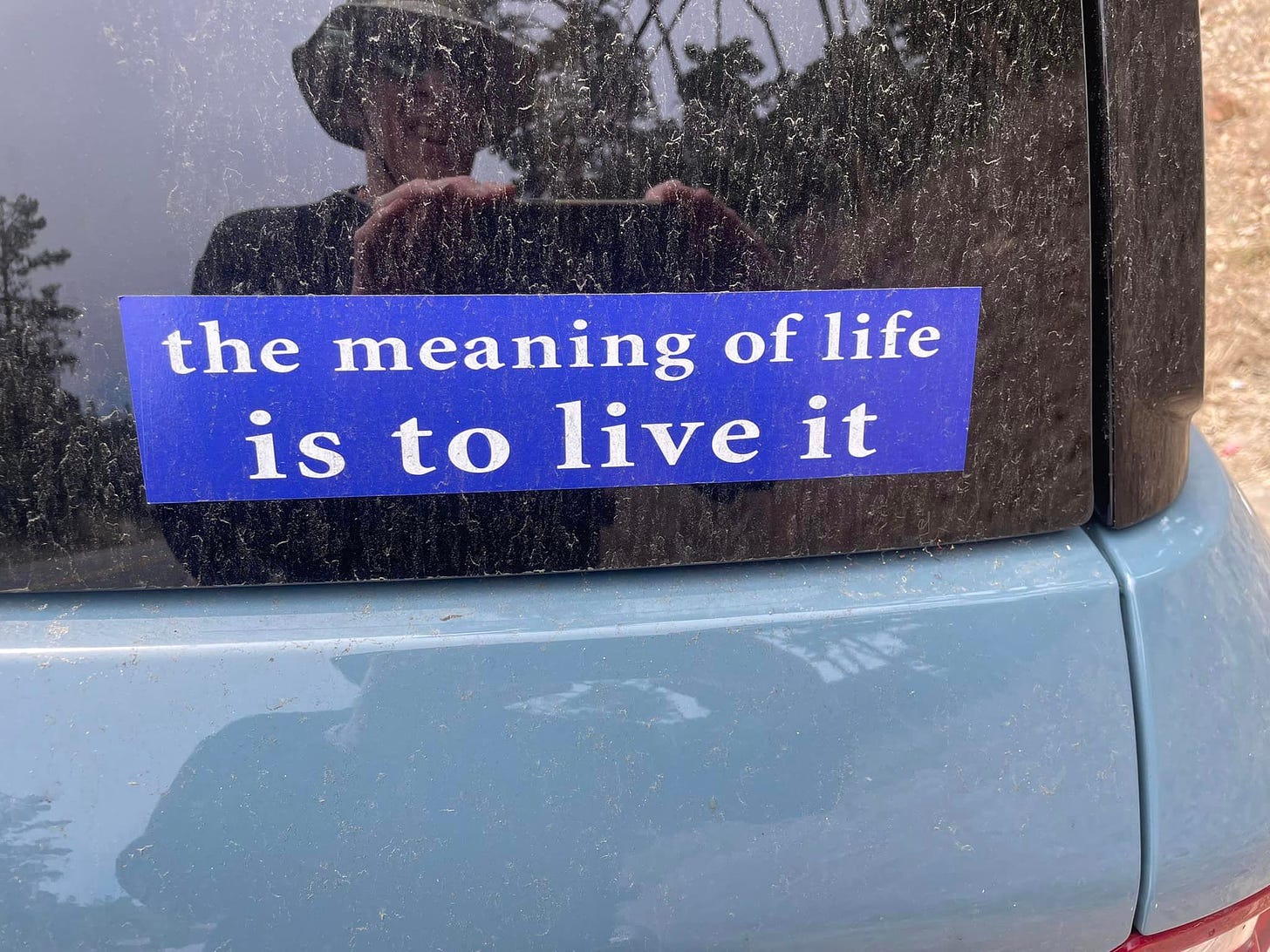May be an image of text that says 'the meaning of life is to live it'