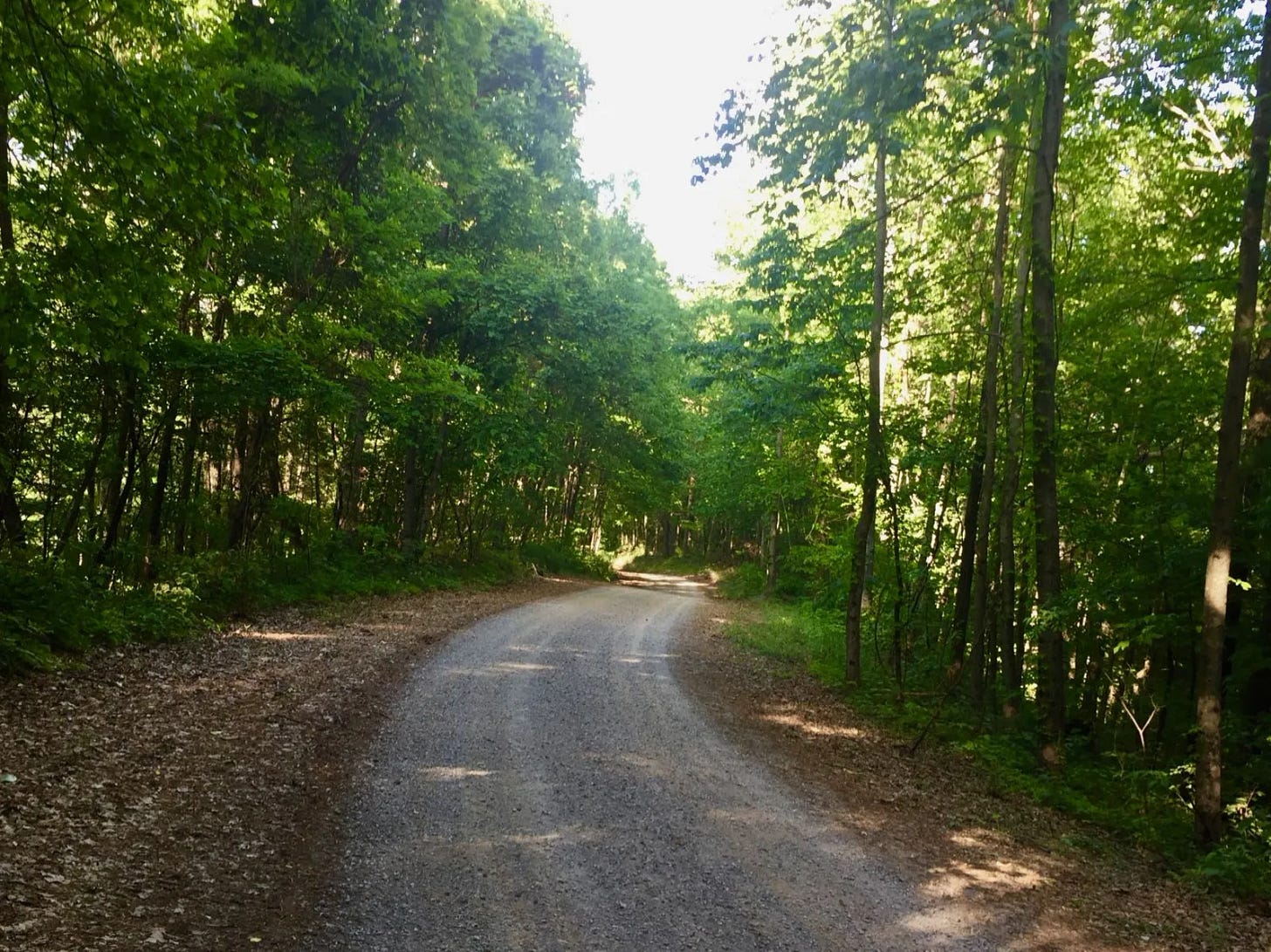 En forêt En forêt