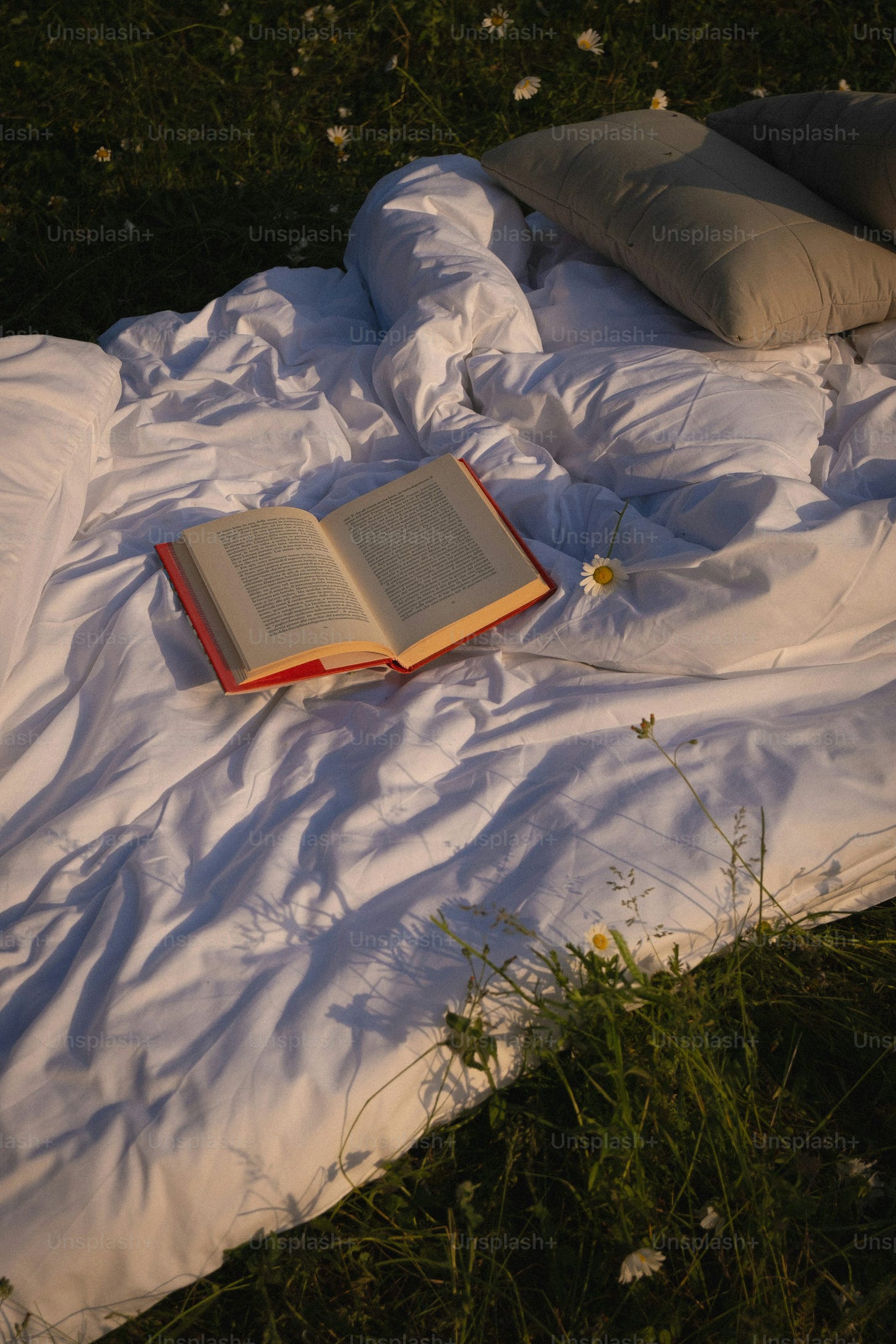 An open book laying on a blanket on a field