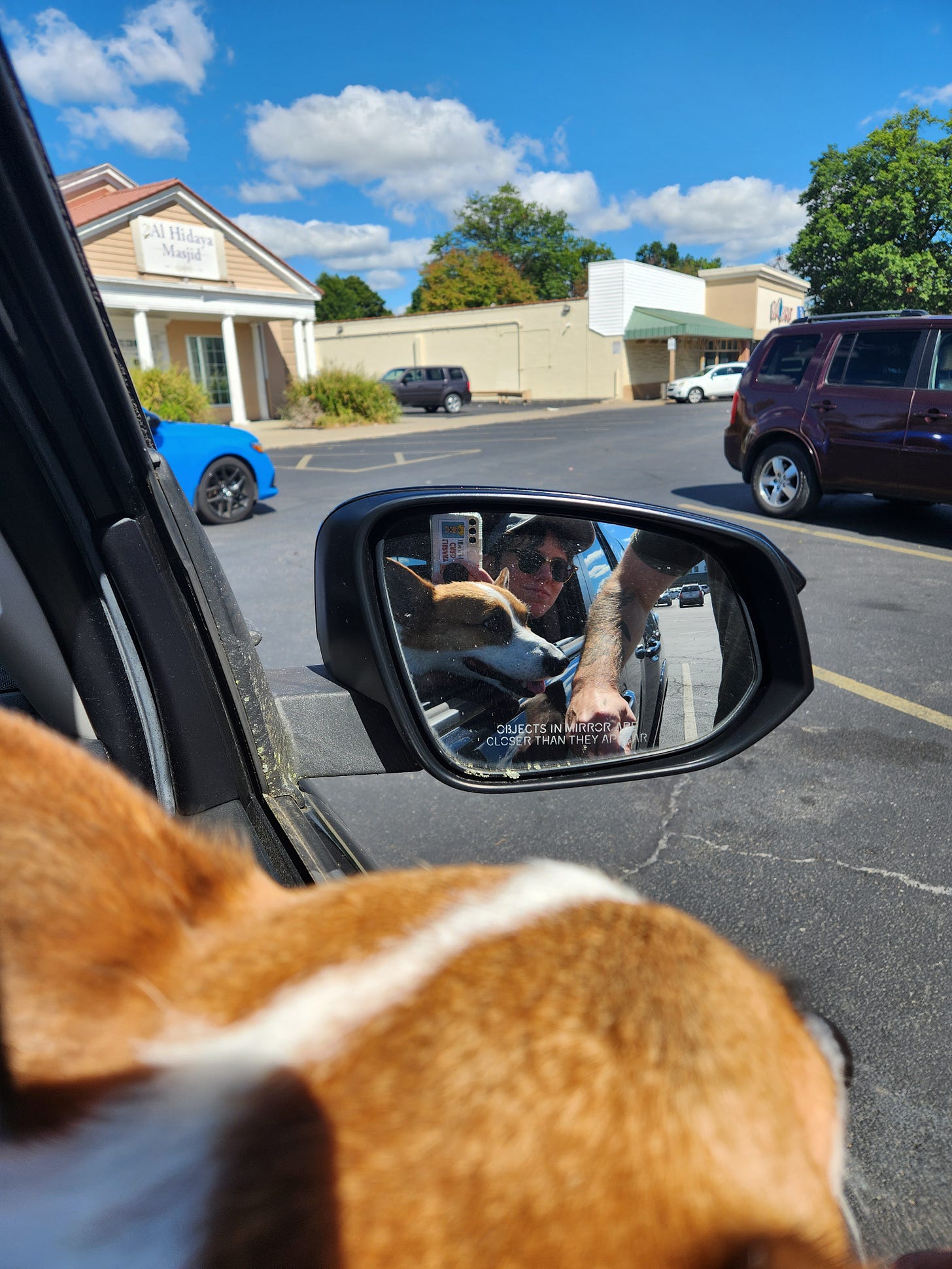 Mel and their corgi through the side mirror in a passenger seat of the car on a sunny day