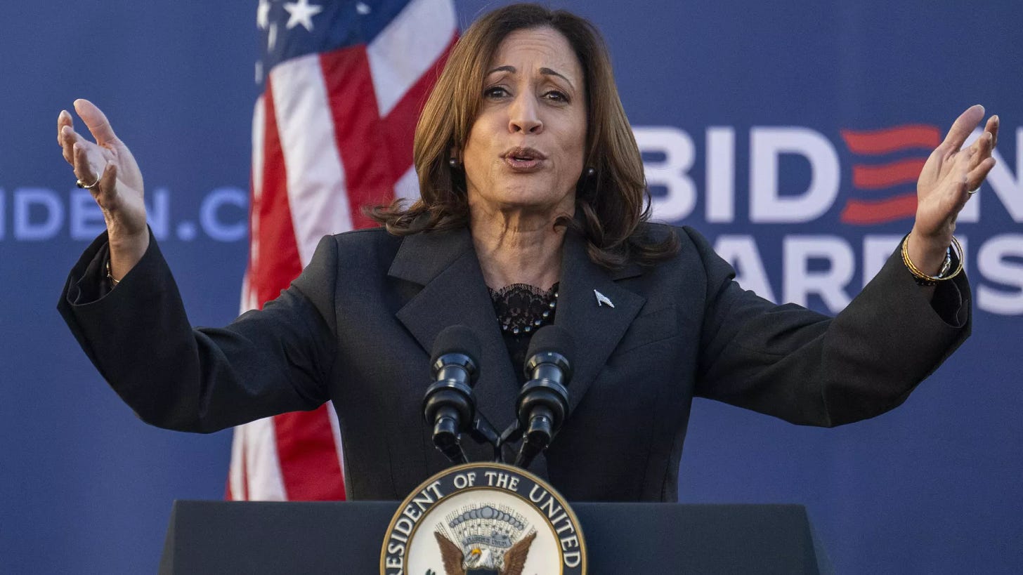 US Vice President Kamala Harris speaks at South Carolina State University during a campaign event in Orangeburg, South Carolina, on February 2, 2024. - Sputnik International, 1920, 23.07.2024