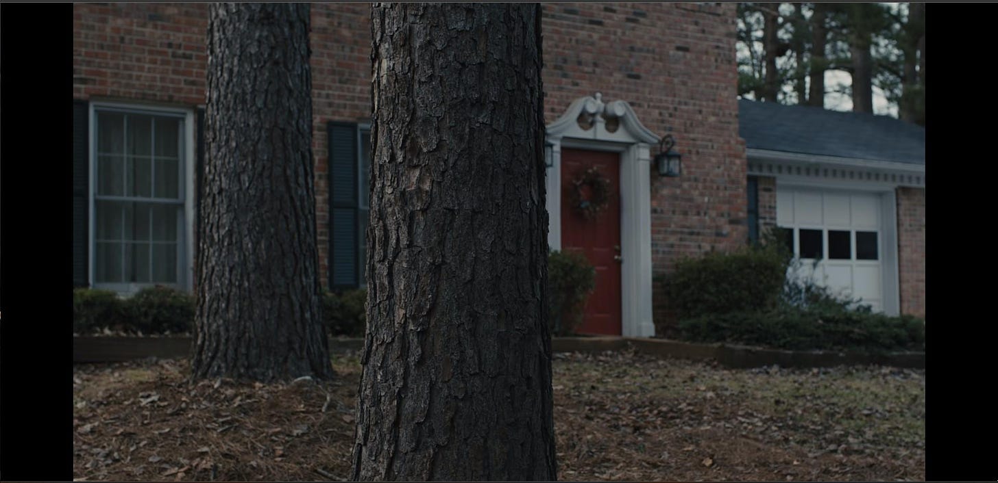 Prisoners: What's with the tree? - Roger A. Deakins