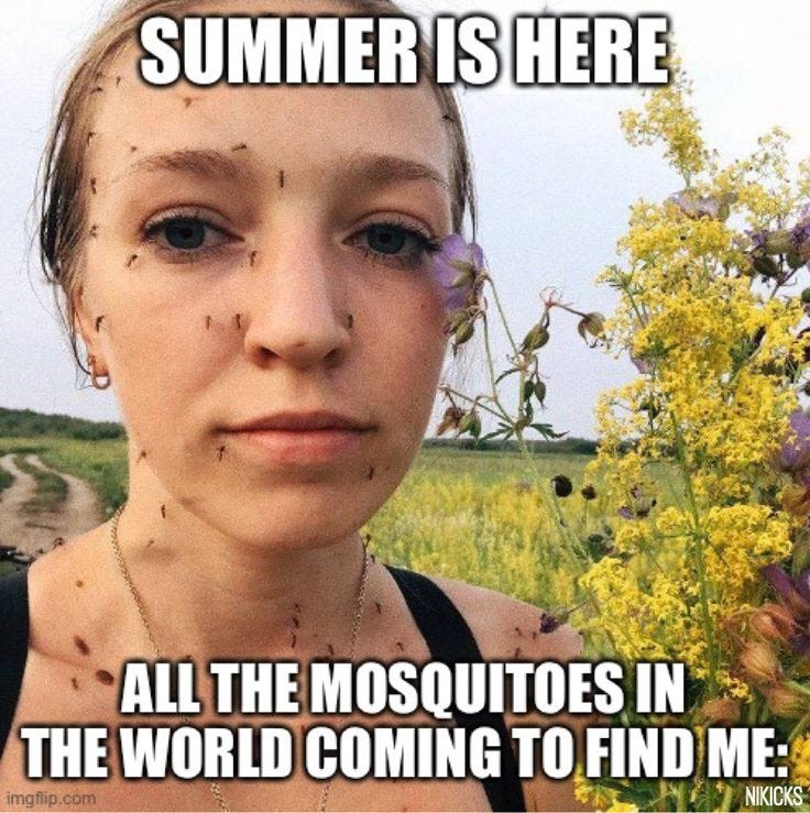 Mosquitoes Meme | Mosquito meme, Mosquito, Mosquito repellent