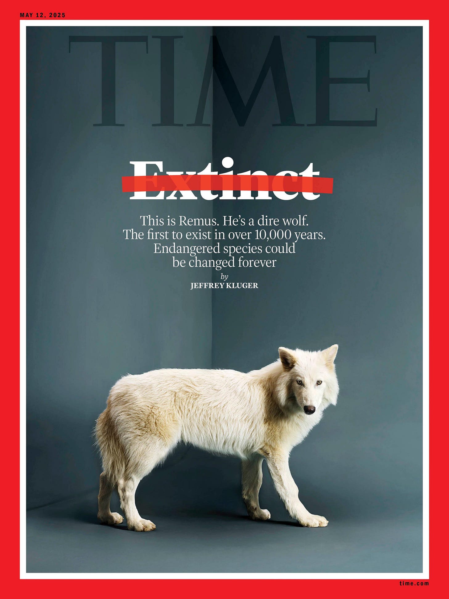 The Return of the Dire Wolf | TIME