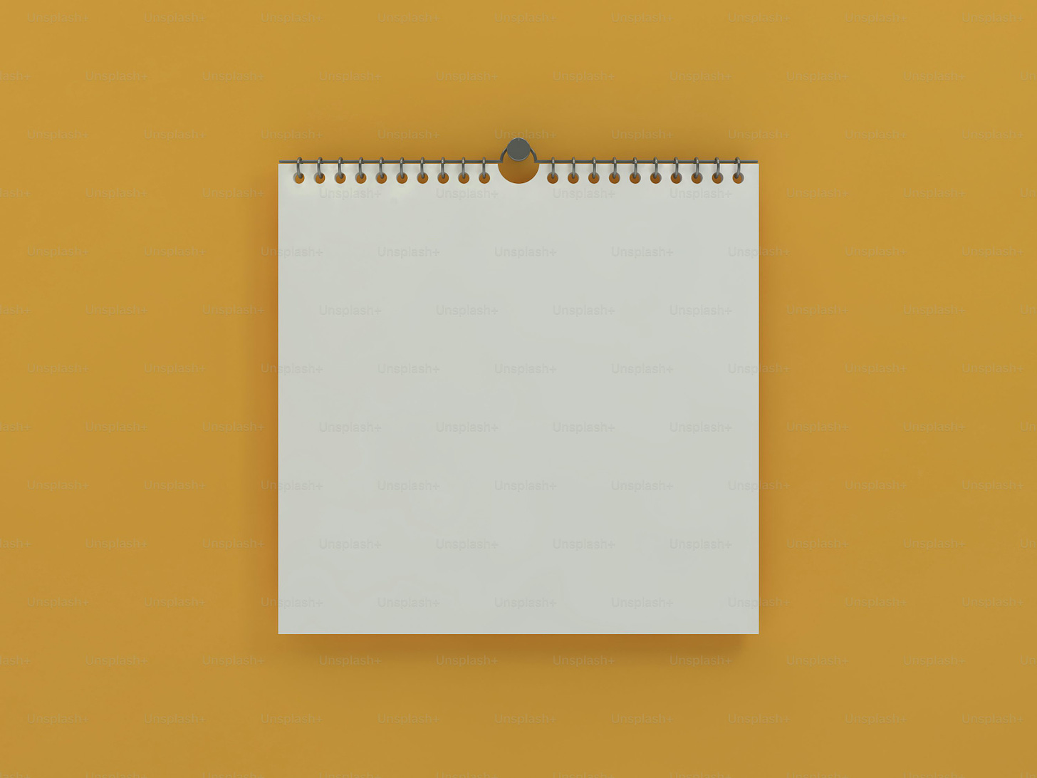 Wall Calendar Pictures | Download Free Images on Unsplash