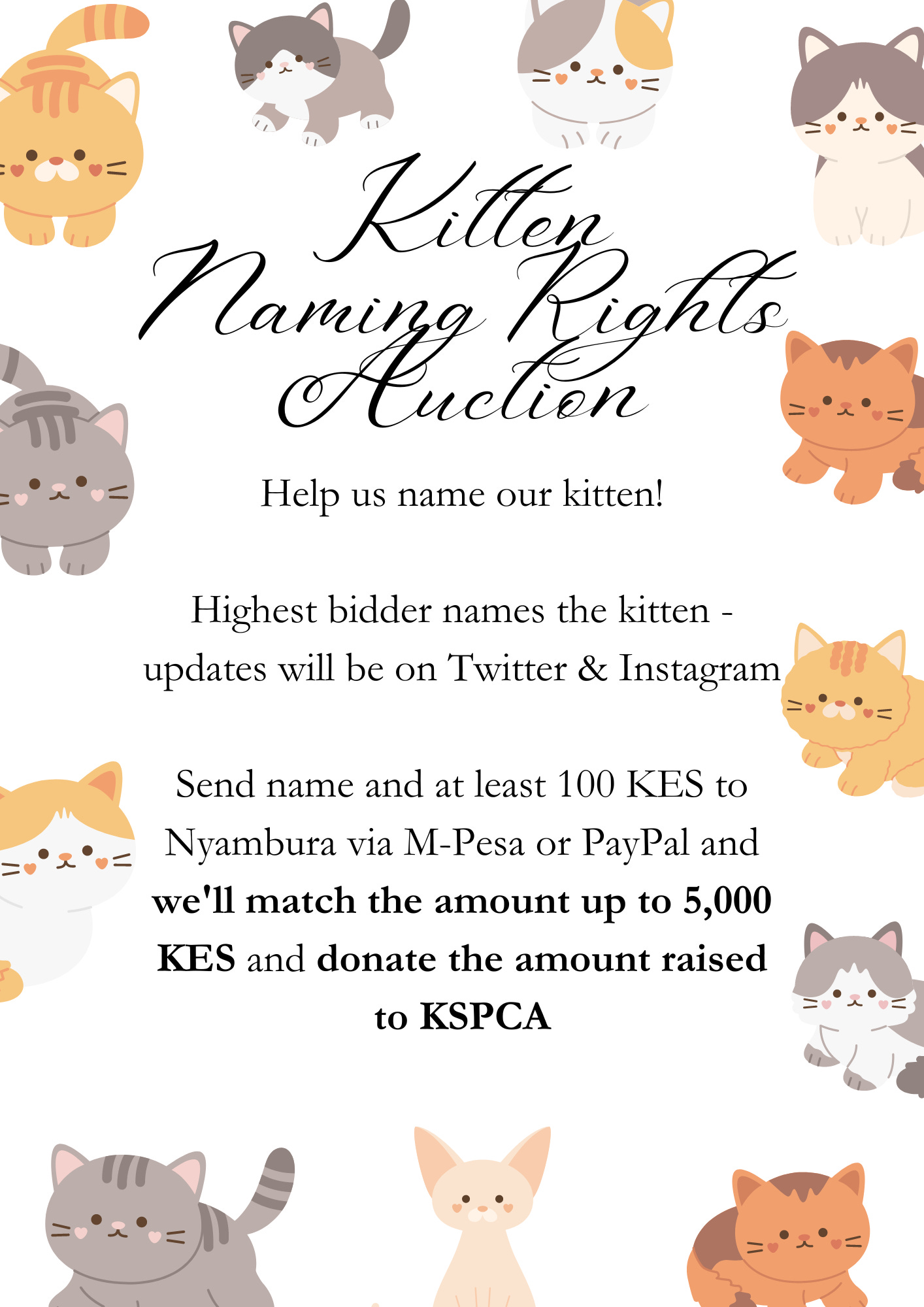Poster title: Kitten Naming Rights Auction. Poster text: Help us name our kitten!  Highest bidder names the kitten - updates will be on Twitter & Instagram  Send name and at least 100 KES to Nyambura via M-Pesa or PayPal and we'll match the amount up to 5,000 KES and donate the amount raised to KSPCA