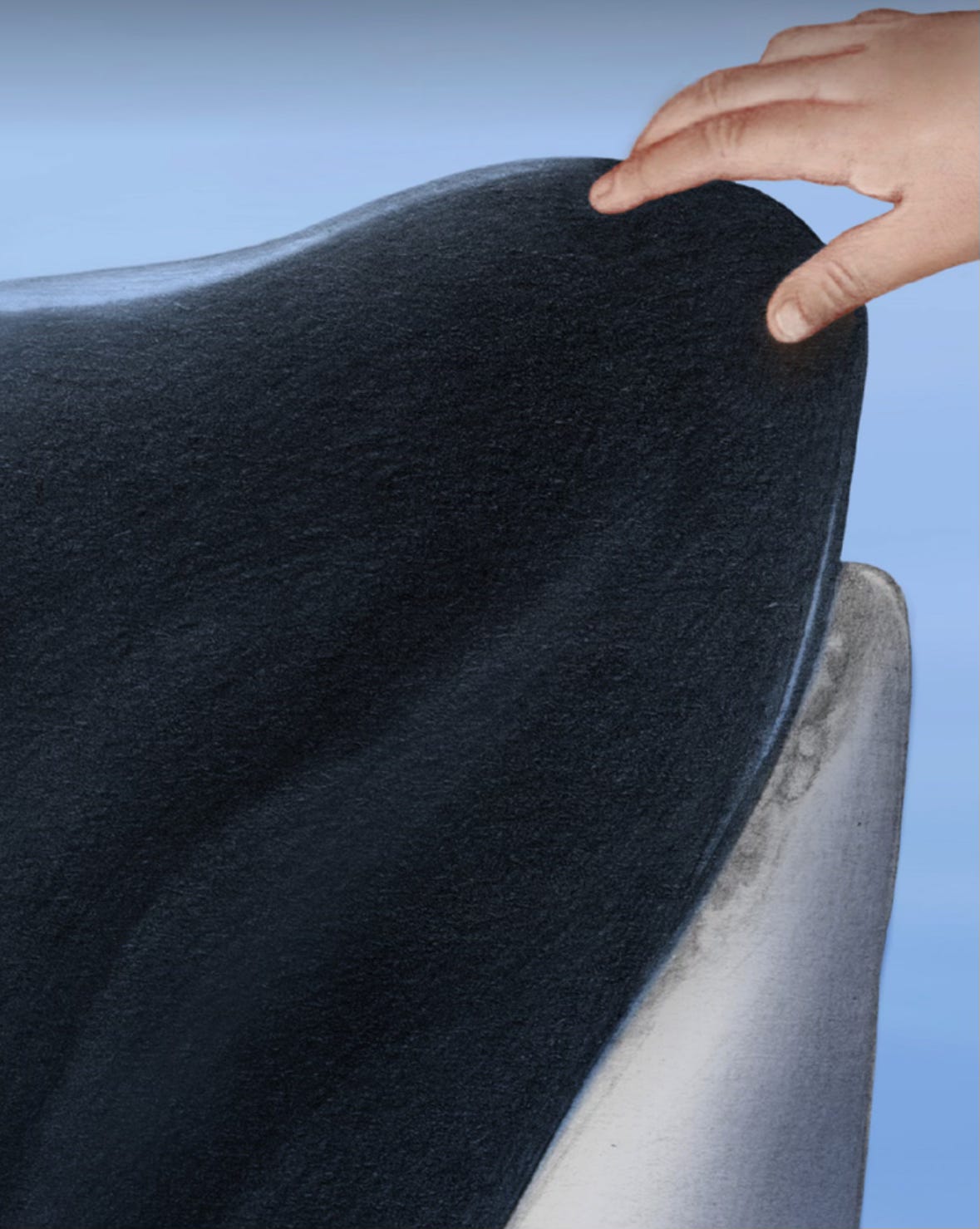 artwork van aflevering 6 van the good whale. Je ziet de snuit van een getekende Orca die wordt aangeraakt door een witte menselijke hand