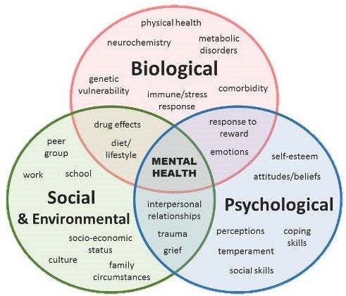 Biopsychosocial Model for Mental Health — Mitchell Counselling ...