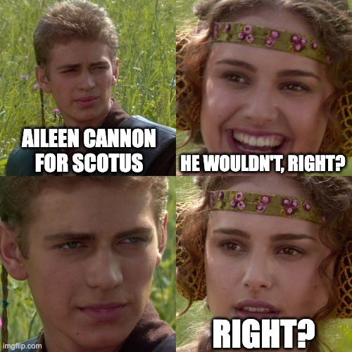 Anakin Padme 4 Panel | AILEEN CANNON FOR SCOTUS; HE WOULDN'T, RIGHT? RIGHT? | image tagged in anakin padme 4 panel | made w/ Imgflip meme maker