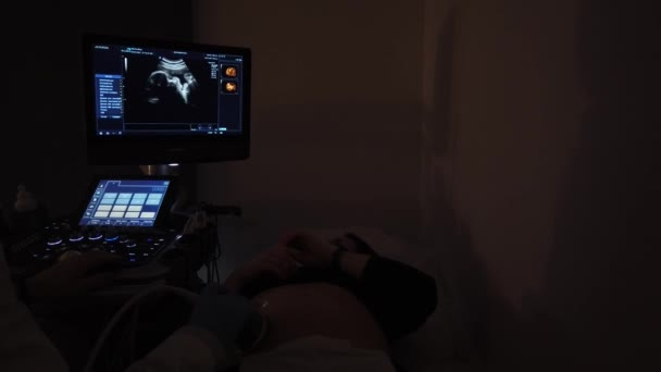 Doctor Performing Ultrasound Session Pregnant Girl — Stock Video ©  georgykrivtsov.yandex.com #464761190