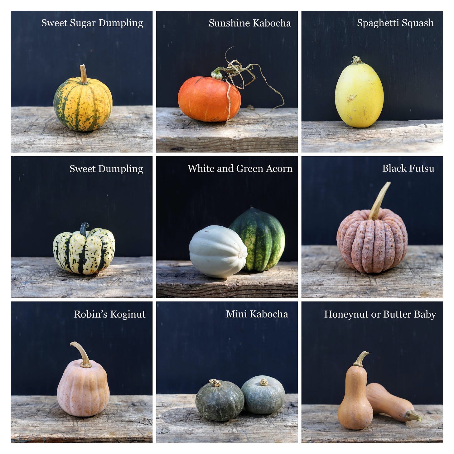 Little Squashes, Big Flavor: A Primer