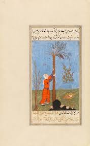 File:Maryam (Mary) at the palm tree with baby `Isa (Jesus) (CBL Per  231.227).jpg - Wikimedia Commons