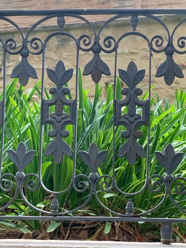 A wrought iron fence with curlicues and leaves in front of spiky green leaves