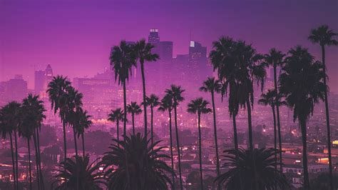 Los Angeles Palm Trees Wallpapers - Top Free Los Angeles Palm Trees ...