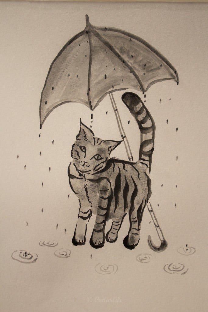 Sumi cat in the rain