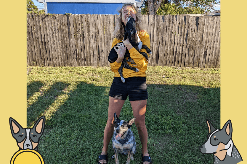 Scout the fearful reactive blue heeler sits between her owner's legs in middle position while her owner holds an excitable wiggly foster puppy named Mystic