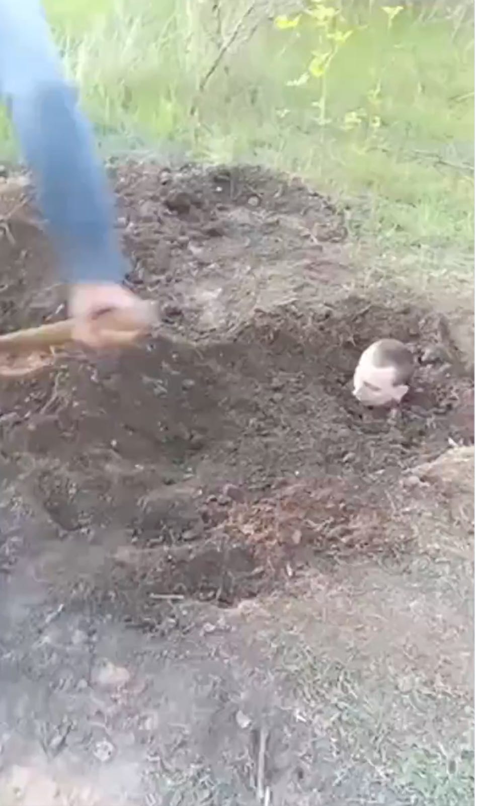 Russian_punishment.png