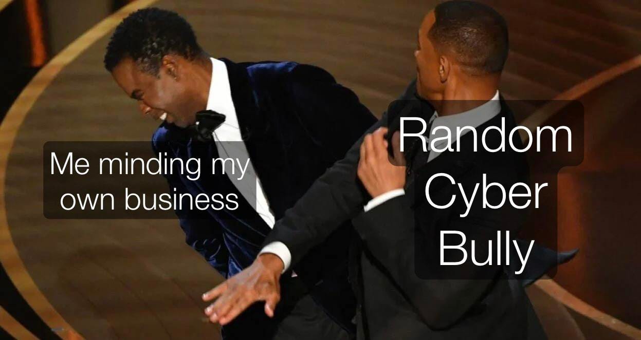 Cyberbullies are the worst : r/memes