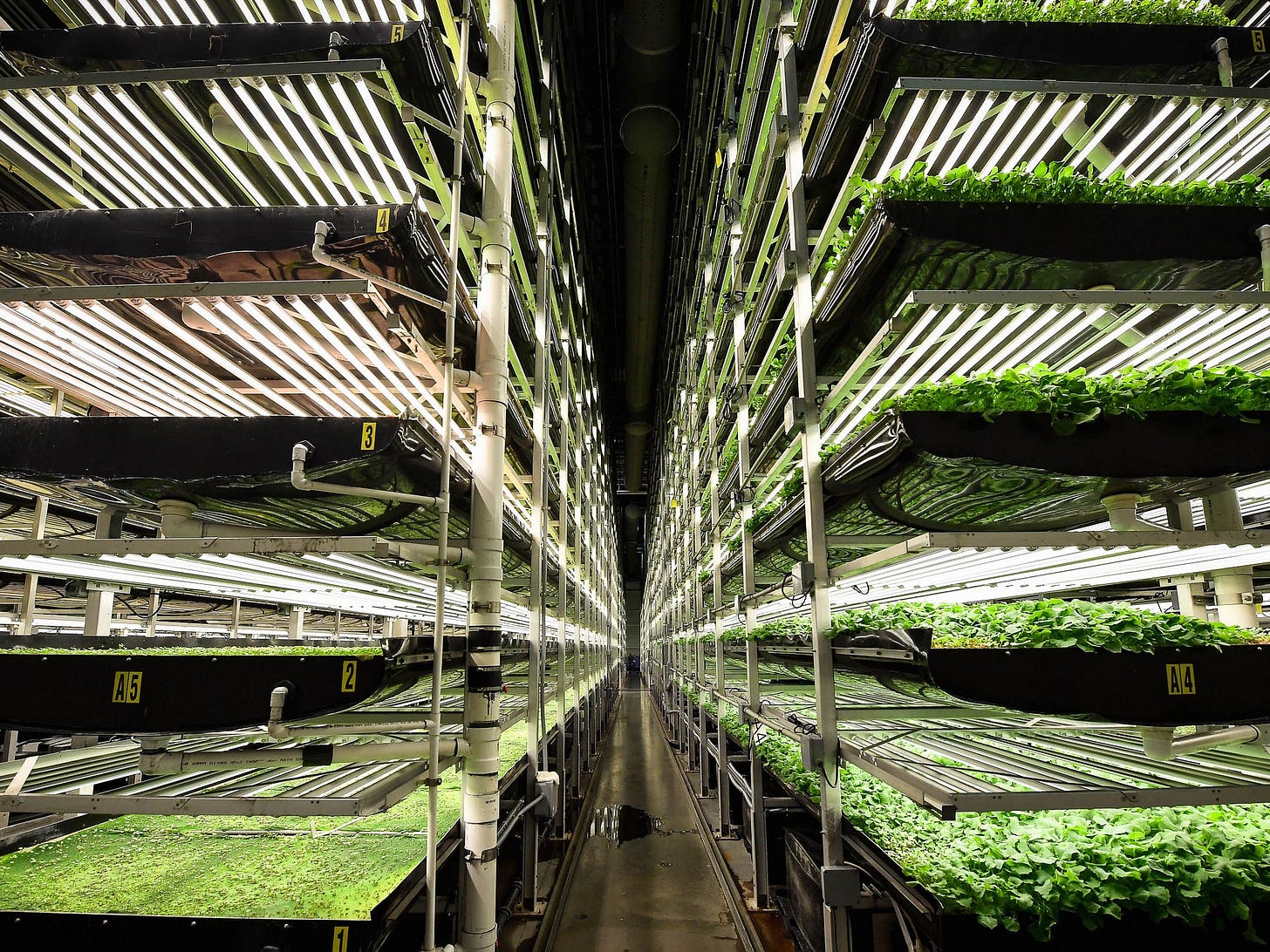 Vertical Farming Has Found Its Fatal Flaw | WIRED