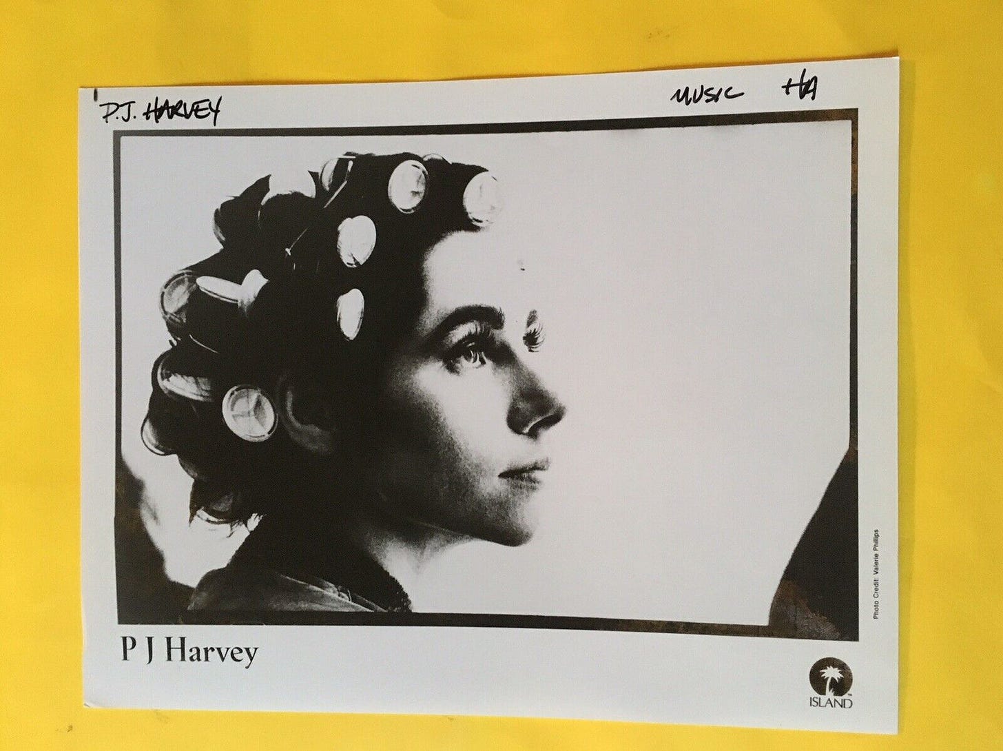 PJ Harvey Press Photo 8x10”, Indigo Records. See Info. - Picture 1 of 4