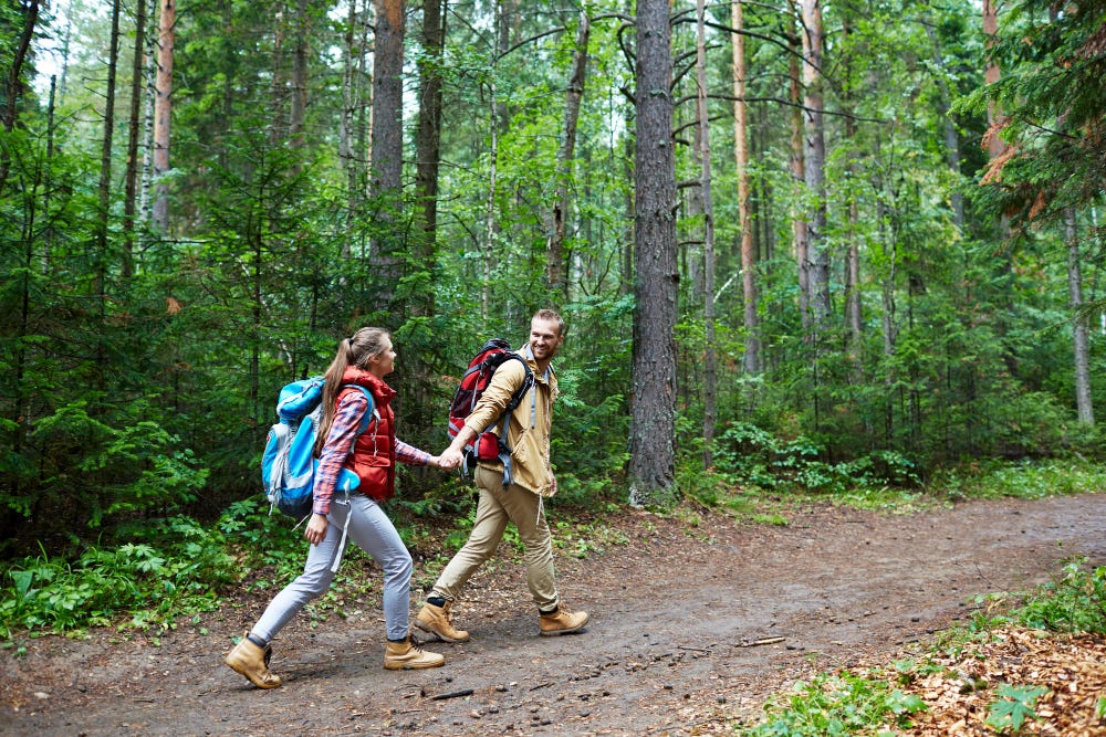 Young couple walking in a forest.
