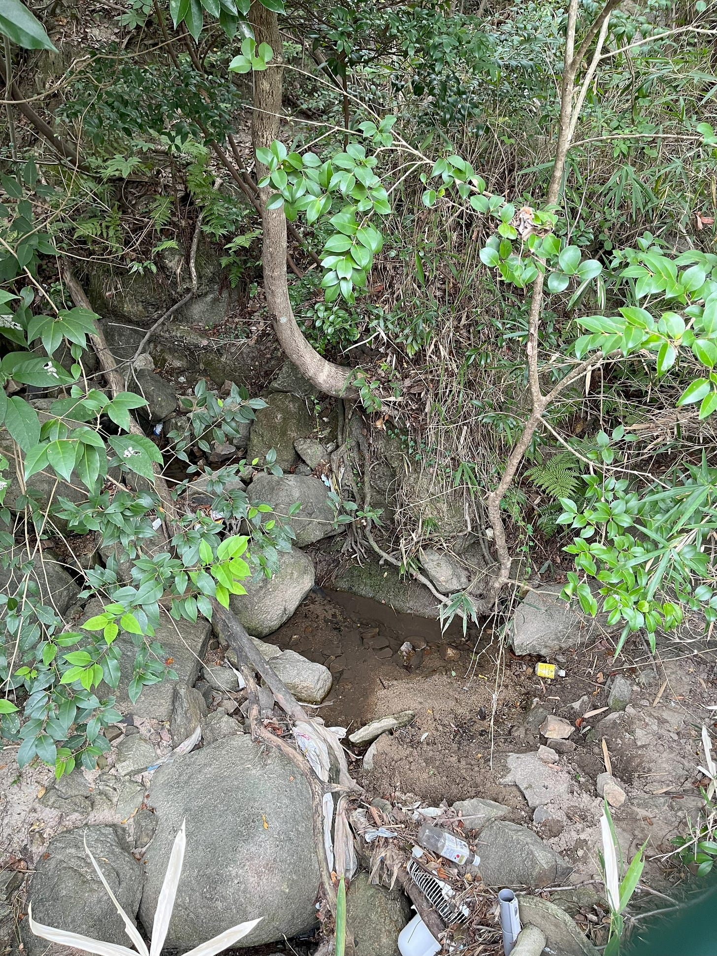 A photo of a tiny stream winding through rocks and twisted vegetation, with a mini-dam of sticks and an old electric fan.