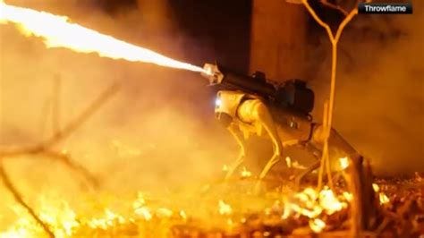 You could own a flamethrower-wielding robot dog